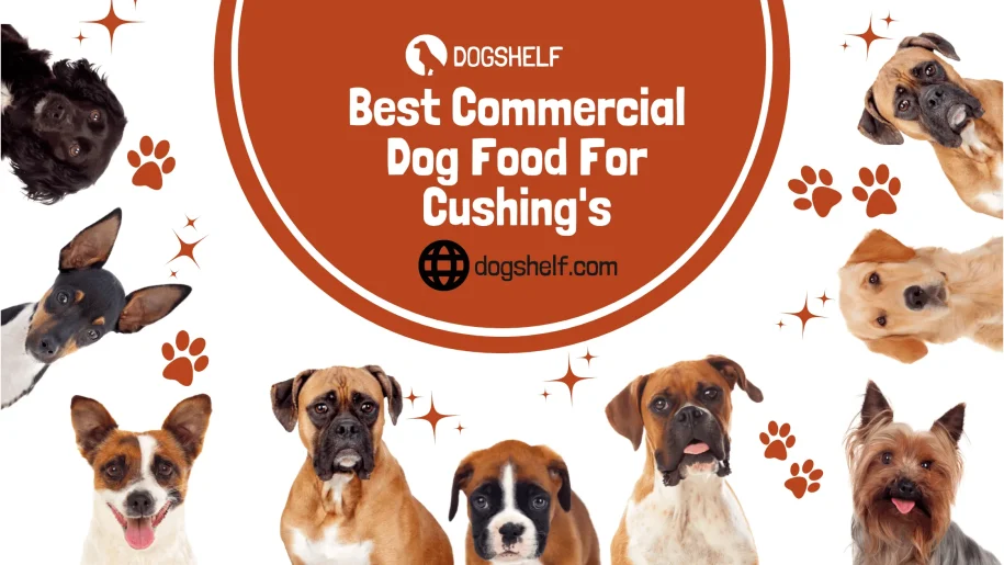 Best Commercial Dog Food For Cushing’s – Expert Choice