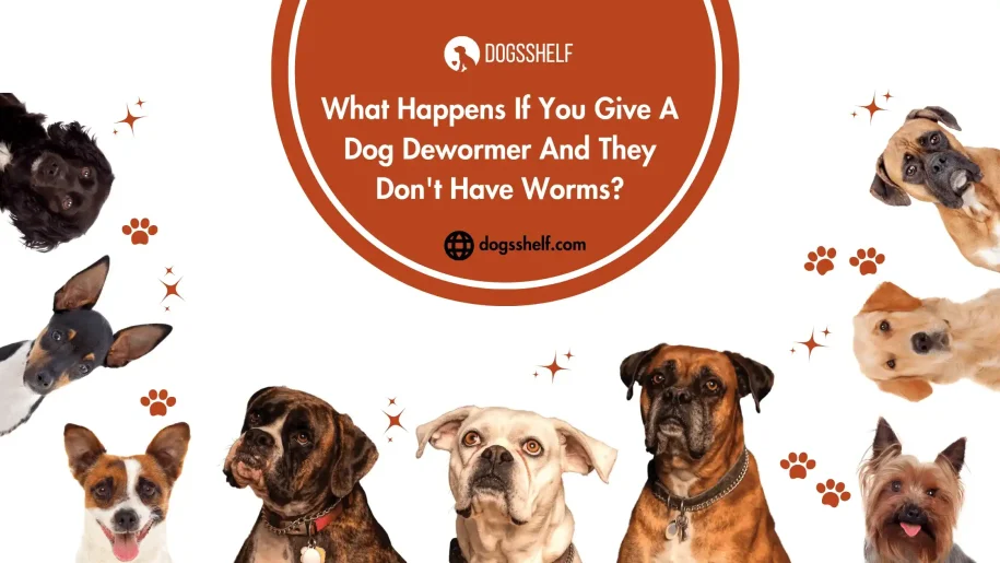 What Happens If You Give A Dog Dewormer And They Don’t Have Worms?