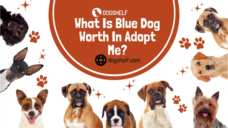 What Is Blue Dog Worth In Adopt Me? Comprehensive Guide 2024